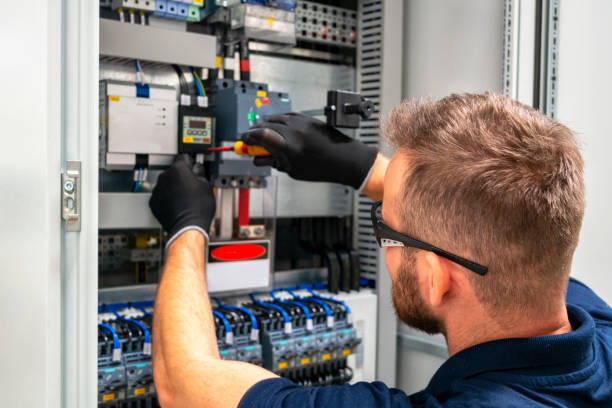 Best Electrician for Home Renovation  in La Cygne, KS